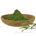 Green Wheat Barley Grass juice extract powder
